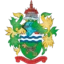 Chertsey Town badge