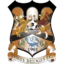 Three Bridges badge