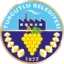 Turgutlu Belediyespor badge