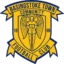 Basingstoke Town badge