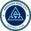 Shenzhen Peng City badge