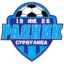Radnik Surdulica badge