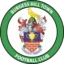 Burgess Hill Town badge