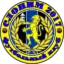 Slonim-2017 badge