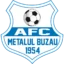 Metalul Buzău badge