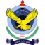 Al-Quwa Al-Jawiya badge