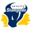 Skycity Stampede badge
