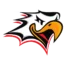 Vaasan Sport badge