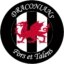 Cardiff Draconians badge