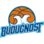 KK Budućnost badge
