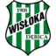 Wisłoka Dębica badge