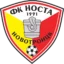 Nosta Novotroitsk badge