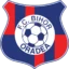 Bihor Oradea badge