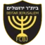 Beitar Jerusalem badge