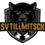 Tillmitsch badge