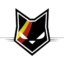 Belgium Basketball Women badge
