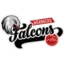 Nürnberg Falcons BC badge