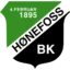 Hønefoss badge
