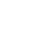 Dinamo-2 Tbilisi badge