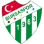 Bursaspor Basketbol badge