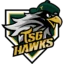 TSG Hawks badge