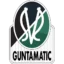 Junge Wikinger Ried badge