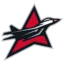 HK Aviator badge