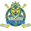 Corona Brașov badge