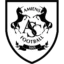 Amiens badge