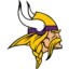 Minnesota Vikings badge