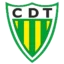 Tondela badge