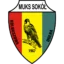 Sokół Kolbuszowa Dolna badge