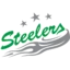 Bietigheim Steelers badge
