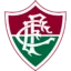 Fluminense badge