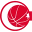 Turkey Basketball badge