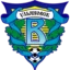 Volga Ulyanovsk badge