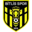 Bitlis 1916 badge