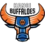 Hanoi Buffaloes badge