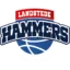 Landstede Hammers badge