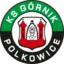 Górnik Polkowice badge