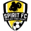 NWS Spirit badge