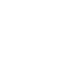 Lyon-Villeurbanne badge