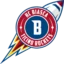 GDT Bellinzona Snakes badge