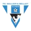 Vlašim badge