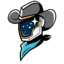 Sugar Land Space Cowboys badge