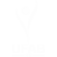 Angers Women badge