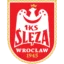 Ślęza Wrocław badge
