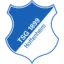 1899 Hoffenheim Women badge