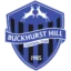 Buckhurst Hill badge