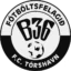 B36 Tórshavn II badge